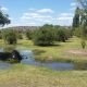Vendo Finca Cuadro Benegas San Rafael Mendoza