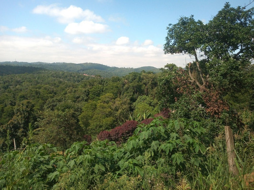 Imagem 2 de 9 de Terreno Com 480m² Em Cajamar. Panorama. Sendo 10x48. 80mil. Prox Da Av Tenente Marques E Av Jaguari