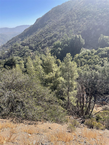 Sitio En Venta En El Arrayán