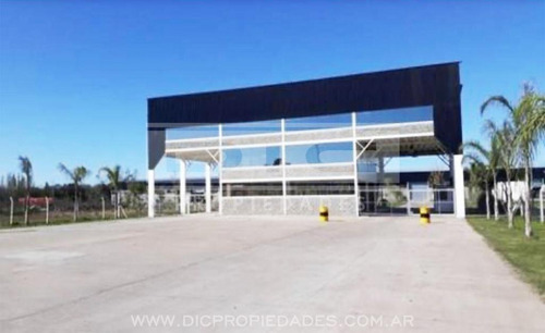 Imagen 2 de 5 de Galpón A Estrenar 1200 M Cubiertos En Moreno