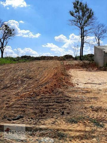 Terreno À Venda, 200 M² Por R$ 130.000,00 - Residencial Vila Martins - Salto/sp - Te0276