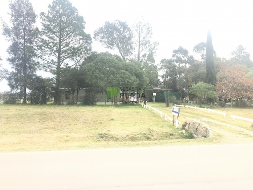 Chacra A 15 Minutos De Punta Del Este. 3 Dormitorios, Casita De Huespedes, Capacidad 10 Personas- Ref: 176