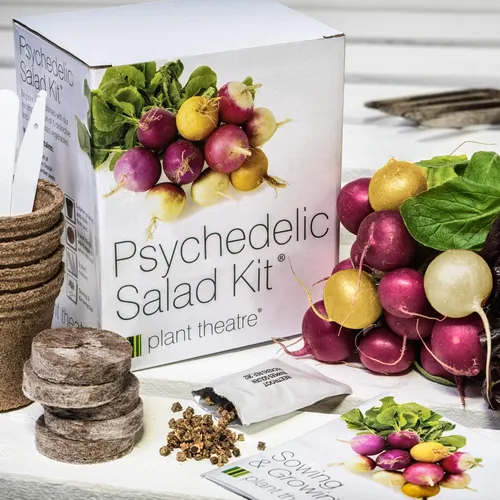 Plant Theatre Psychedelic Salad Kit - 5 Fantasticos Vegetal