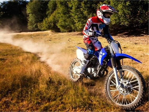 Imagen 20 de 20 de Moto Yamaha Ttr 125 2008 Delisio