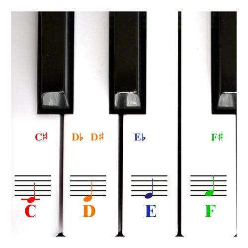 Calcomanías De Notas De Teclado De Piano Para Teclas Blancas