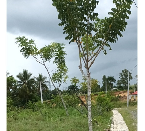 Imagen 3 de 8 de Este Solar Es La Oportunidad Que Estaba Esperando La Medida Perfecta De 150 M2 / Con Titilos / Credito Aprobado De Inmediato /