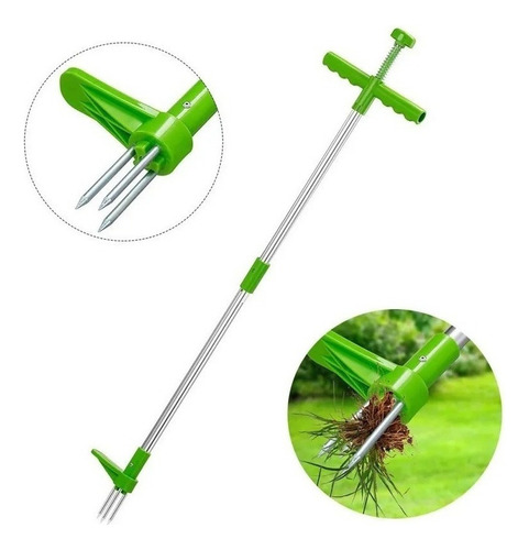 S Quitar Malezas Inço Weeds Garden Ready Entrega