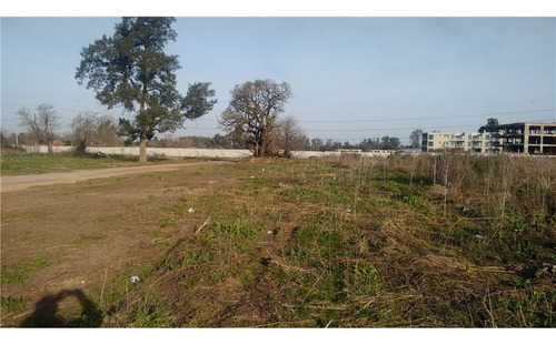 Venta 1 Ha. En Panamericana Pilar. Acepta Permuta