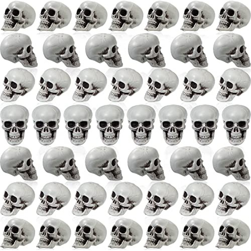 48 Calaveras De Halloween - Cabezas De Esqueletos Human...