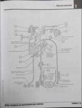 Libro Netter