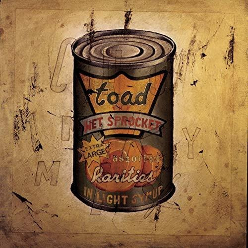 Cd In Light Syrup - Toad The Wet Sprocket