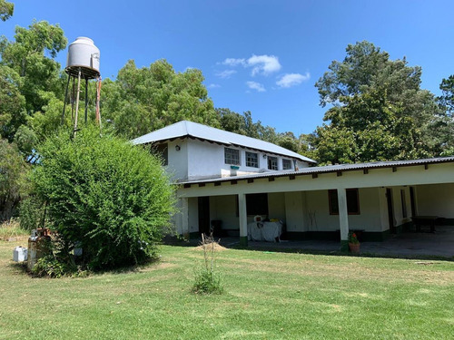 Imagen 5 de 30 de Campo En Venta En Bavio | Ruta 11 E/el Pino Y Km.42 (4,79 Has) Fracc.1