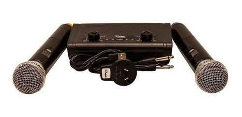 Microfono Inalambrico Parquer Dual Uhf 5v Color Negro