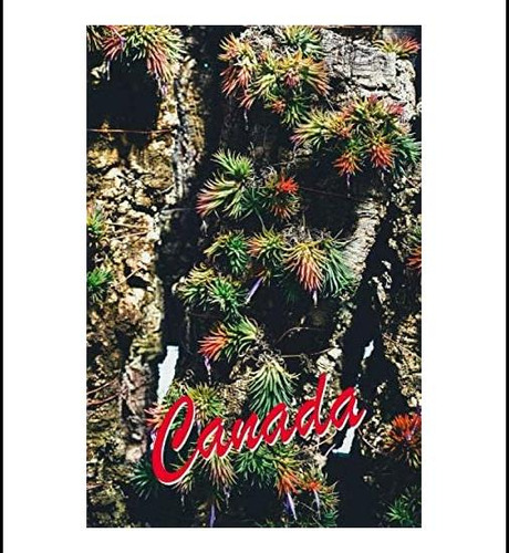 Libro: Canada: Travel Diary Journey Journal For Writing Your
