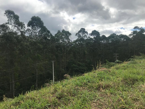 Imagem 5 de 14 de 16- Lote Com Excelente Topografia Em Aruja