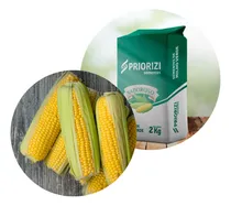 Comprar Sementes De Milho Híbrido Pr 3350 Saboroso 10kg De Sementes