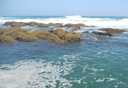 Oficina En Renta En Veracruz Fracc. Costa De Oro.
