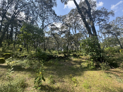 Vendo Terreno Boscoso De 11 Hectáreas En Jilótepec