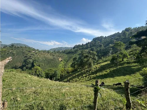 Lote En Venta En Vereda La Aurora Manizales | Venta Terreno