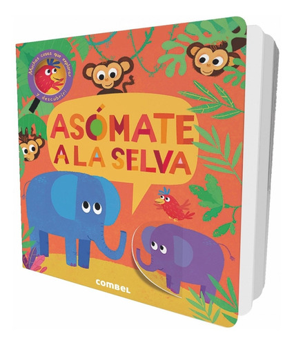 Libro Asómate A La Selva - Vv.aa.