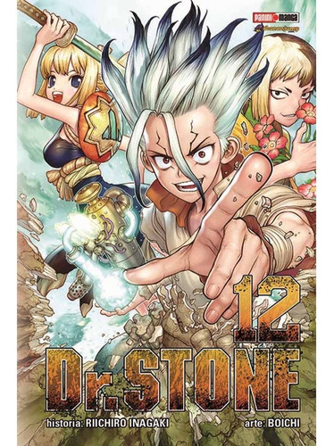 Dr Stone 12 - Boichi