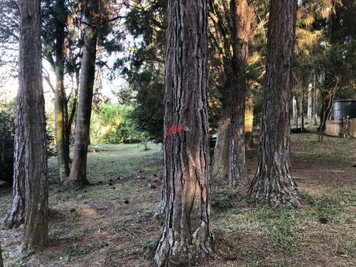 Imagem 22 de 30 de Chácara Pé-na-água Em Loteamento Fechado Cod: 1075