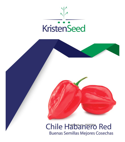 Sobrecitos De Semilla De Chile Habanero Rojo Con 10 Piezas