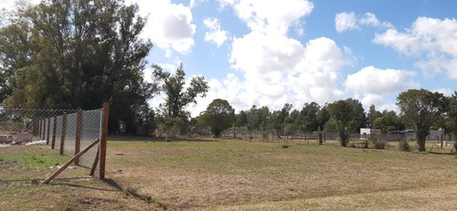 Terreno 655m2- Oportunidad Unica, Carmen De Areco