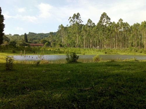 Imagem 14 de 19 de Sítio À Venda Em Juquitiba, Excelente Oportunidade! - 355 - 33553342