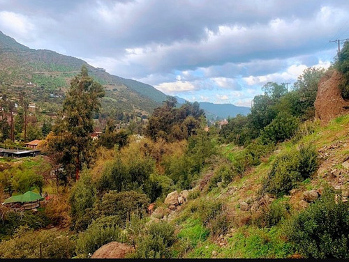 El Arrayan