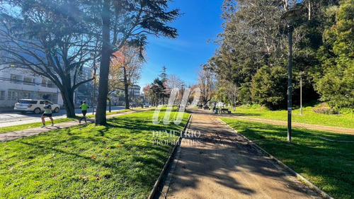 Excelente Departamento A Pasos Del Parque Ecuador