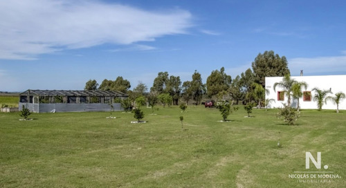 Campo En Venta En Canelones