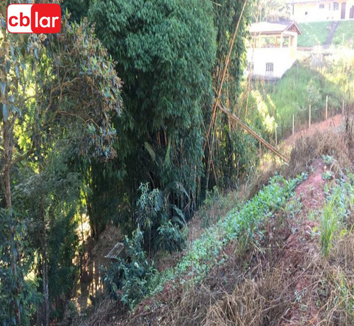 Imagem 5 de 15 de Terreno - Te00153 - 69909909