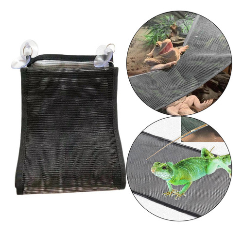 Nuevo Reptil Hamaca Geckos Dragón Barbudo Serpiente Lagarto