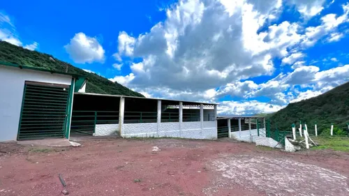 Venta De Finca - Cordero