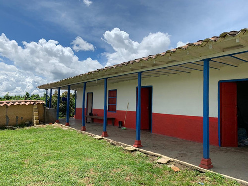 Imagen 1 de 14 de Finca En San Vicente 7 Hectáreas 850 Millones Aguacates