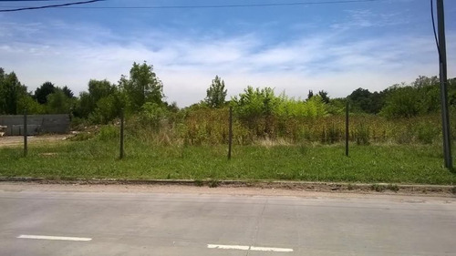 Venta Lote De 36.000m2 En Benavidez, Tigre