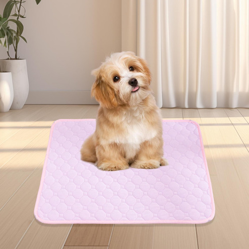 Almohadilla Lavable Para Orina De Perro, Almohadilla Xl