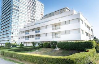 Imagen 6 de 11 de Apartamento Punta Del Este Semana, Quincena O Mensual 2022