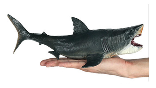 Figuras De Acción De Tiburón Modelo Megalodon Para Ayuda