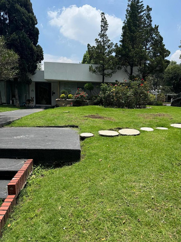 Magnifico Terreno