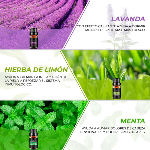 Esencias Para Humidificador Aromáticas Paquete De 6/u