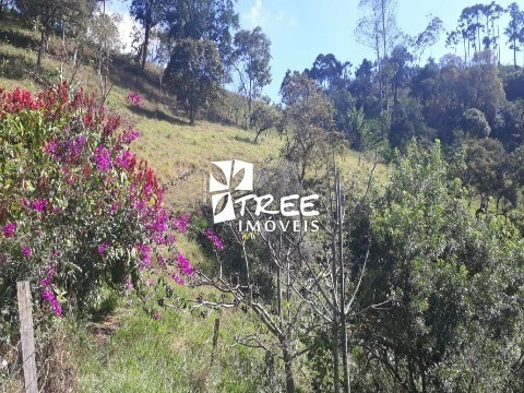 Imagem 6 de 15 de Venda De Terreno Em Santa Isabel Com A/t 27.600m² Com 2 Lagos Todo Cercado 70% Pastagem. - Te00814 - 69937338