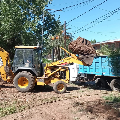 Limpieza De Lotes/podas/extracciones De Raices.