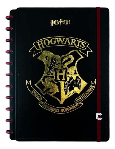 Caderno Inteligente Harry Potter Hogwarts 80fls - Grande