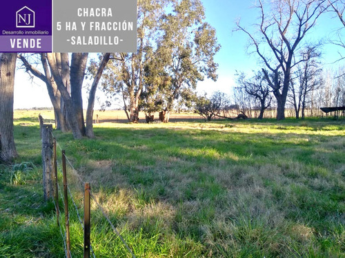 Imagen 6 de 7 de Vendo Chacra En Saladillo, Muy Buena Ubicacion
