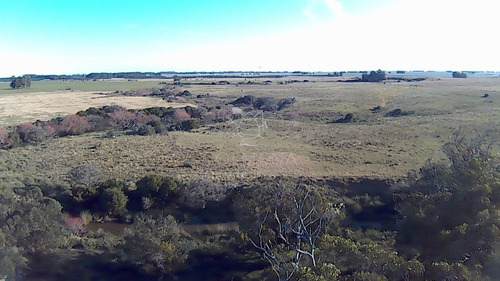 Imagen 21 de 28 de Venta Campo Ideal Para Fraccionar En Chacras Codigo 6003 - Las Garzas