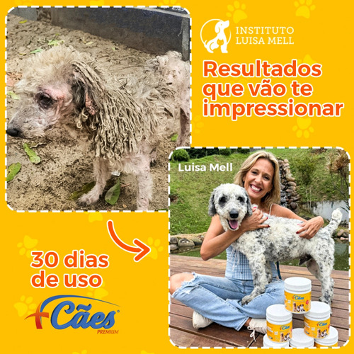 Vitaminas Caes Yorkshine Buldogue Frances Chihuahua 250g