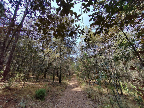 Terreno En Venta De 37,314 M2 En Huasca De Ocampo, Hidalgo