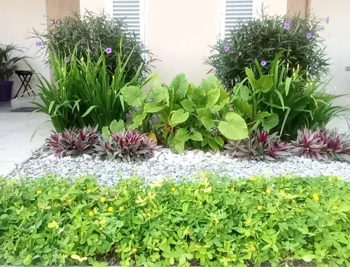 Se Vende Casa En Conjunto Melao (palmira)